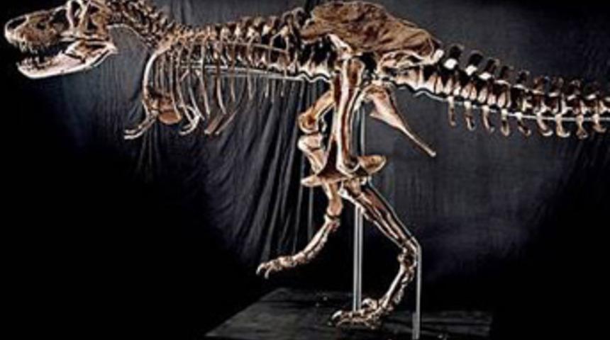 Almak ister misiniz?