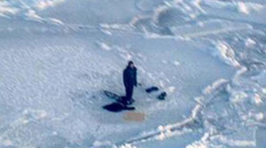 3 kutup ayısıyla mahsur kaldı