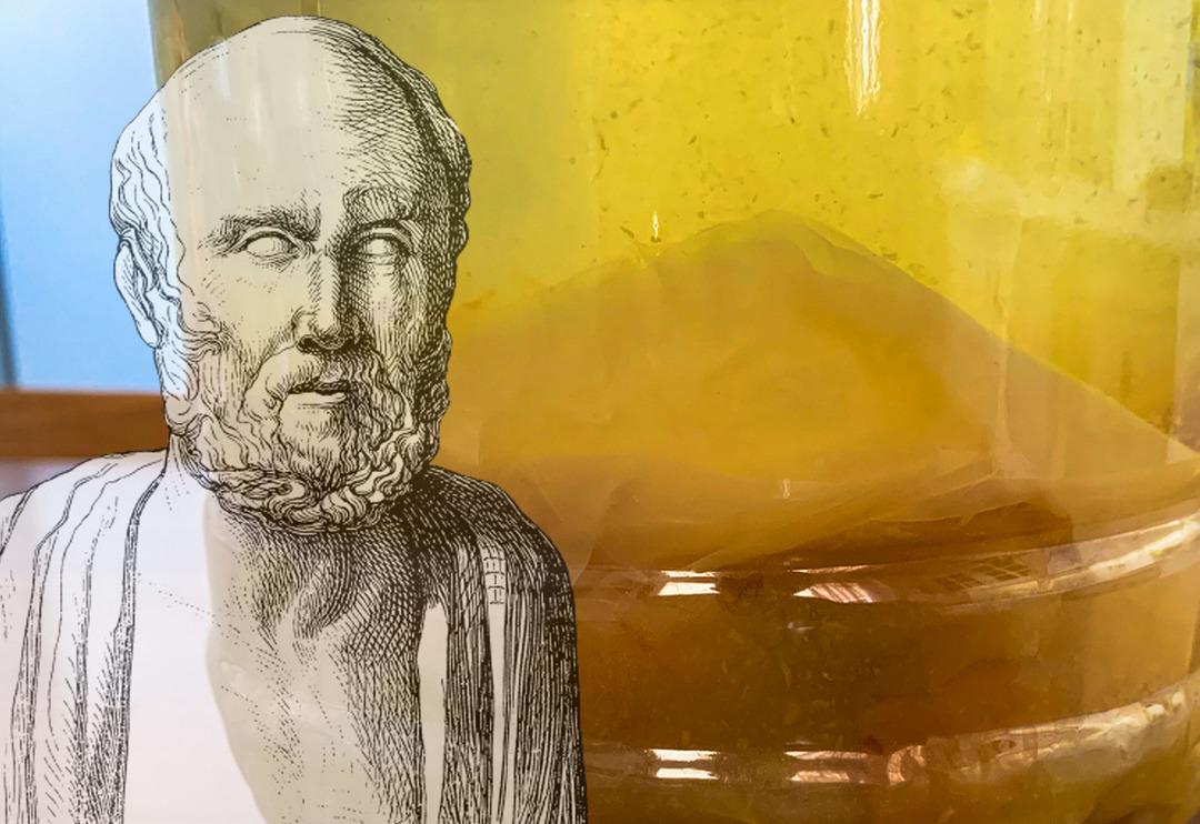 Hipokrat'ın 1 numaralı re&ccedil;etesiydi 'Tıbbın babası'nın bile y&uuml;zyıllar &ouml;nce &ouml;nerdiği o mucize besin! Kabızlık son buluyor, enfeksiyonlar bitiyor