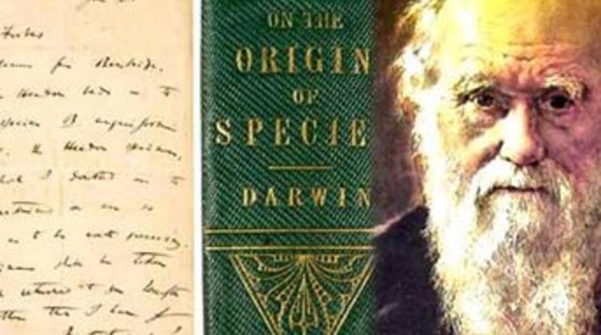 50 yıl tuvalette kaldı, rekor fiyata satıldı