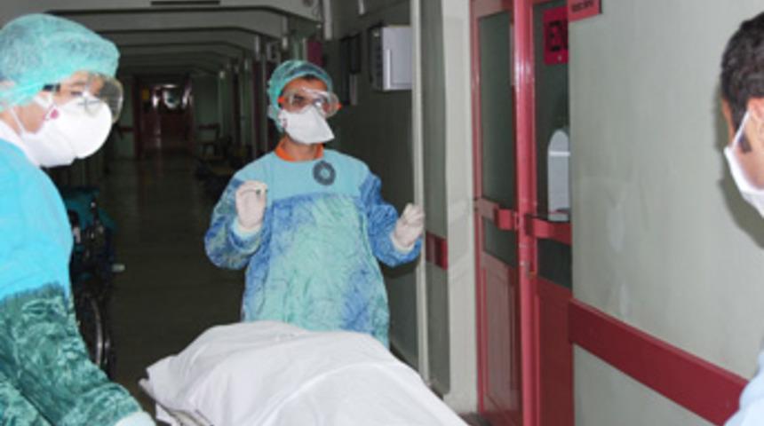 Domuz gribinden &ouml;lenlerin sayısı 161&rsquo;e &ccedil;ıktı