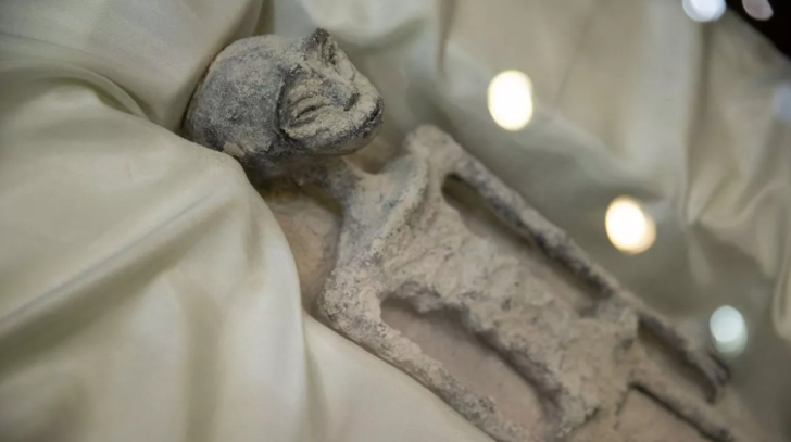 Meksika'daki uzaylı cesetleri dünyayı sarsmıştı! NASA olaya el atmıştı... Meksika'nın 'uzaylı cesetlerinin' gizemi Peru yetkilileri tarafından çözüldü G2