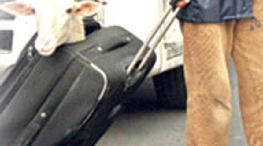 Kurban bayramınız kutlu olsun