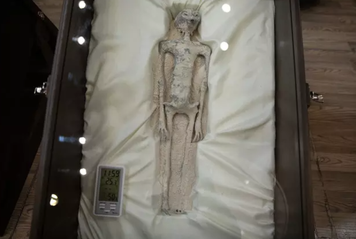 Meksika'daki uzaylı cesetleri dünyayı sarsmıştı! NASA olaya el atmıştı... Meksika'nın 'uzaylı cesetlerinin' gizemi Peru yetkilileri tarafından çözüldü G4