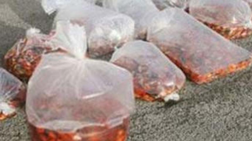 10 bin Japon'a inanılmaz işkence