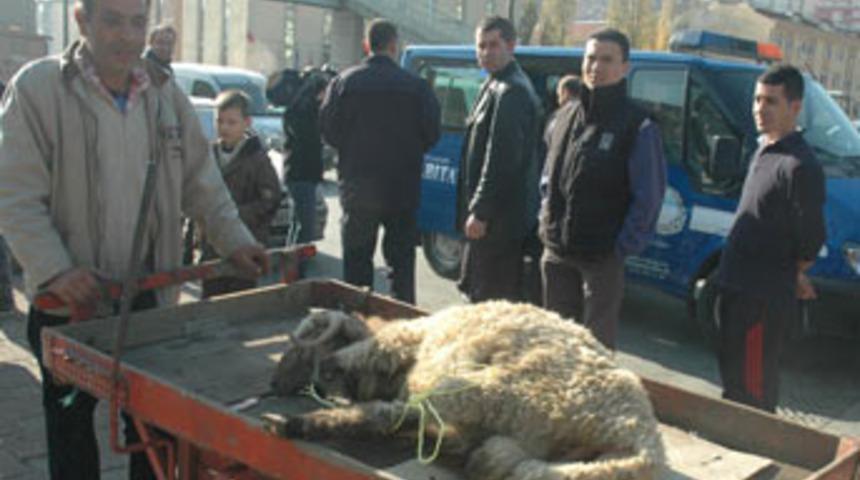 Bayramlar ge&ccedil;iyor eziyet bitmiyor