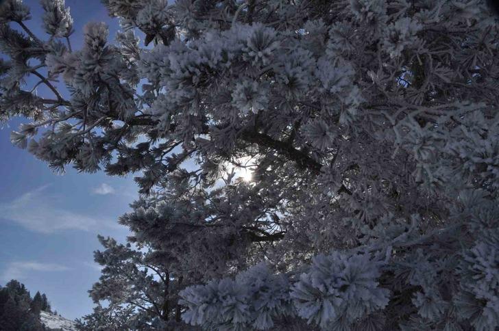 Dün gecenin en soğuk ili belli oldu! Eksi 18,3'ü gördüler G4