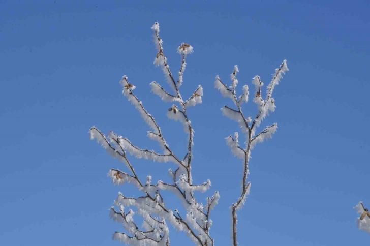 Dün gecenin en soğuk ili belli oldu! Eksi 18,3'ü gördüler G1