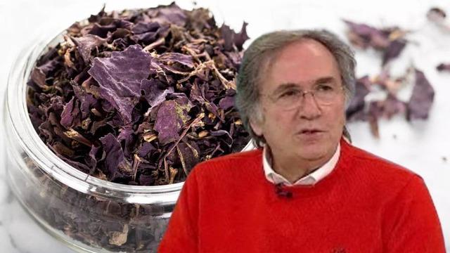 Omega-3 deposu! Prof. Dr. İbrahim Saraçoğlu'ndan zihinsel performansı artırıcı bitki: 10 dakikada farkı hissediyorsunuz