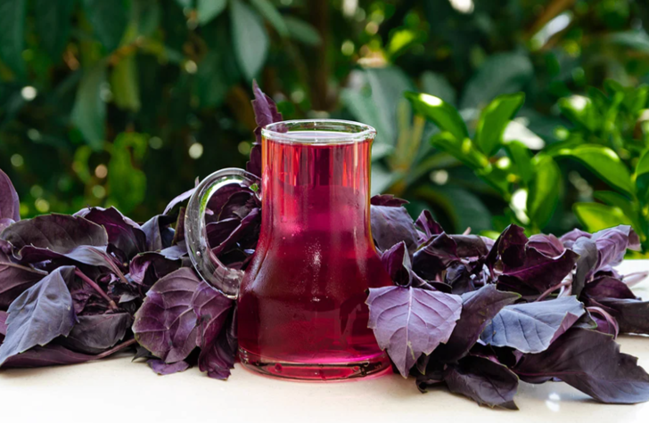 Omega-3 deposu! Prof. Dr. İbrahim Saraçoğlu'ndan zihinsel performansı artırıcı bitki: "10 dakikada farkı hissediyorsunuz" G2