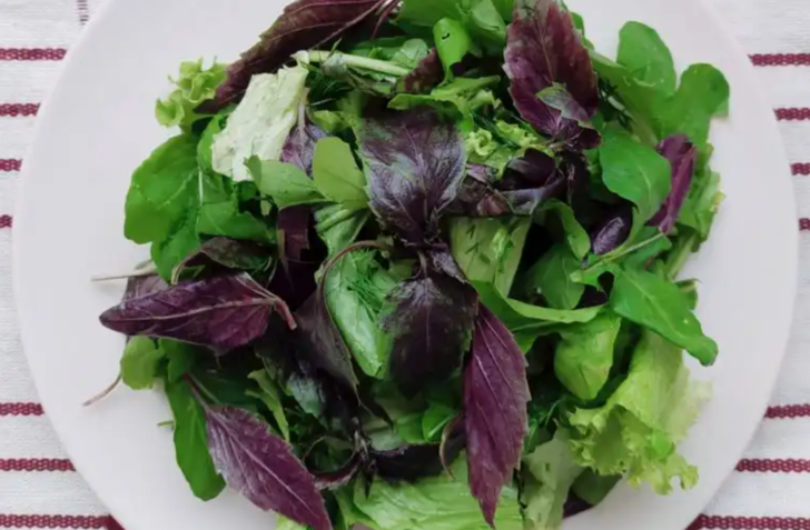 Omega-3 deposu! Prof. Dr. İbrahim Saraçoğlu'ndan zihinsel performansı artırıcı bitki: "10 dakikada farkı hissediyorsunuz" G3