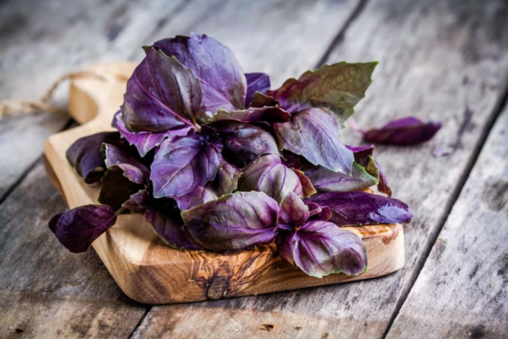 Omega-3 deposu! Prof. Dr. İbrahim Saraçoğlu'ndan zihinsel performansı artırıcı bitki: "10 dakikada farkı hissediyorsunuz" G1