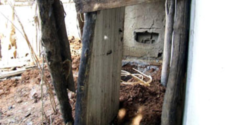 Diri diri g&ouml;mm&uuml;şler