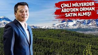 Ülke ayağa kalktı! Çin Komünist Partisi üyesi milyarder 198 bin dönümlük ormanı gizlice almış: Casusluk endişesi...