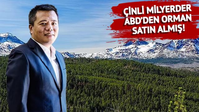 Ülke ayağa kalktı! Çin Komünist Partisi üyesi milyarder 198 bin dönümlük ormanı gizlice almış: Casusluk endişesi...