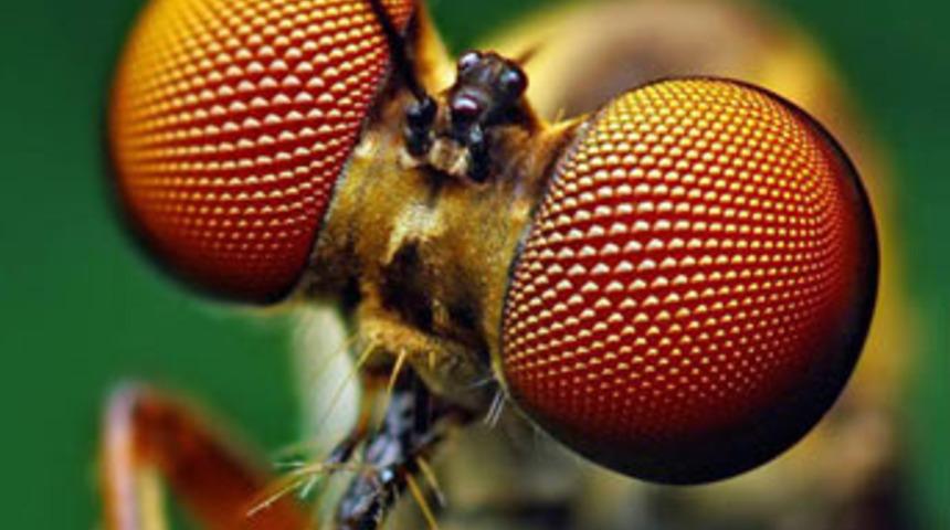 G&ouml;remediğimiz mucize