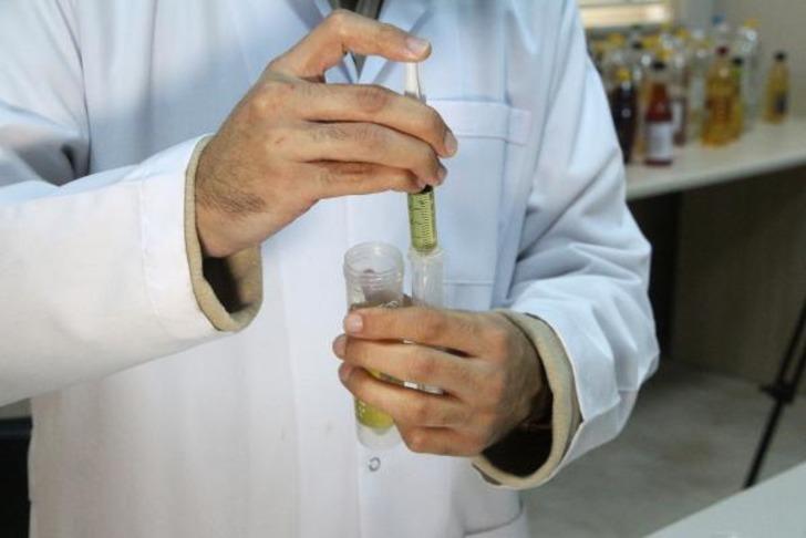 Mutfaktaki tehlike! Zeytinyağı fiyatları arttı, sosyal medyada gören evde denemeye başladı... Uzmanlar uyarıyor: Üzülerek söylüyorum ki... G4