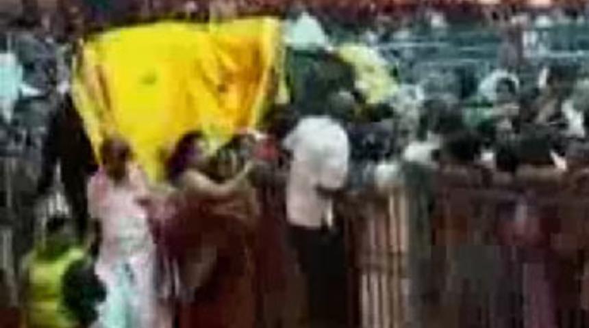 Tapınakta yavru fil dehşeti