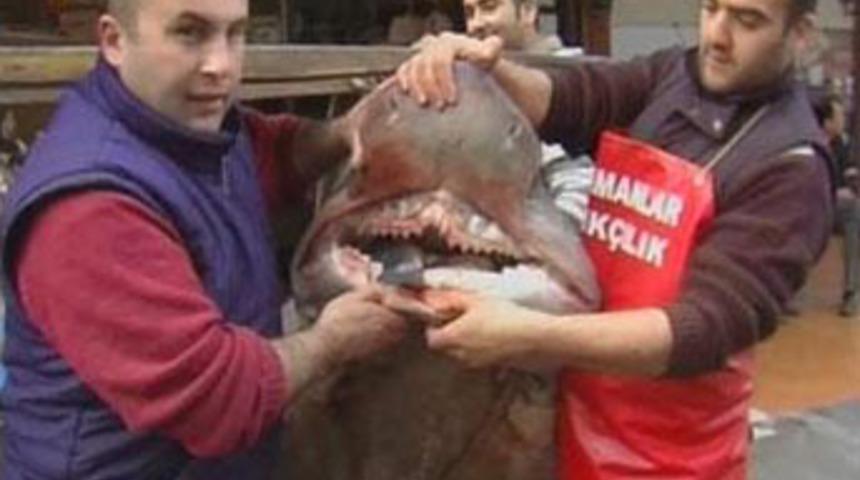 Marmara korku filmi gibi