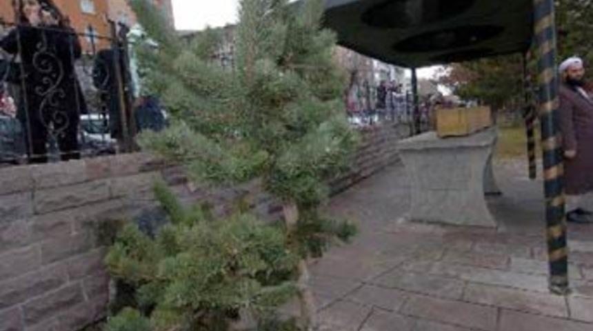 Bir taciz skandalı da cemaatten