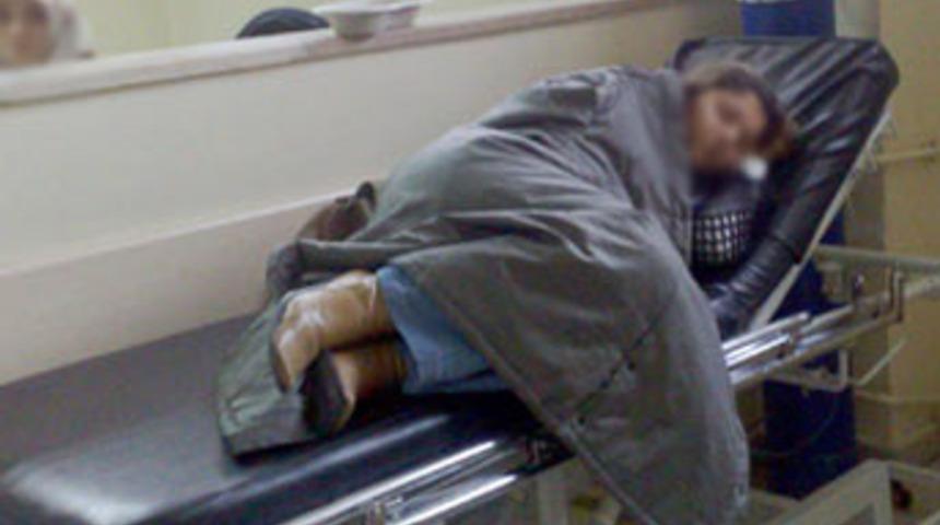 Ka&ccedil;ırıldı, uyutuldu, 1000 km g&ouml;t&uuml;r&uuml;ld&uuml;