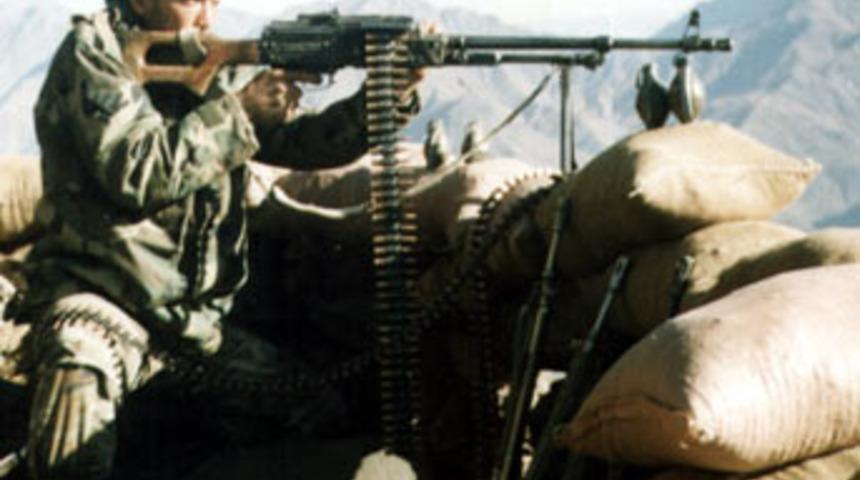 Bu aslan 2 metrekarede yatacak