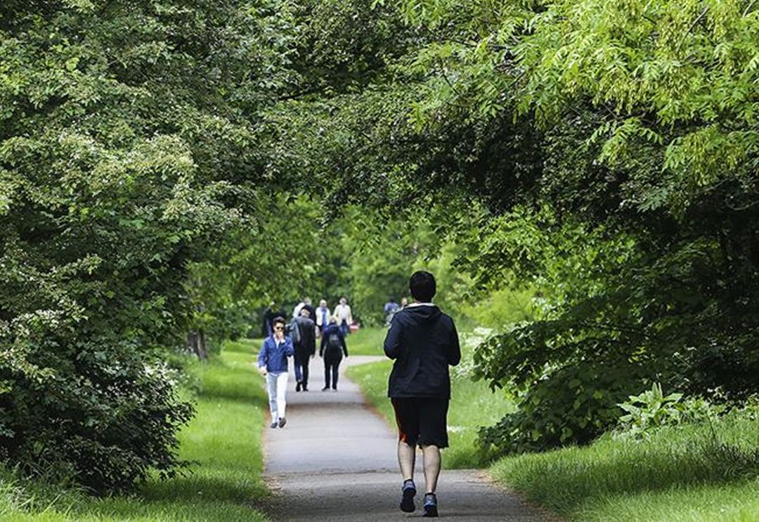 "Instagram sendromu" Boy uzatma ameliyatları sosyal medyada g&uuml;ndemdeydi '&Ouml;yle masum ameliyatlar değil' Uzman isim uyardı, boy kriteri verdi