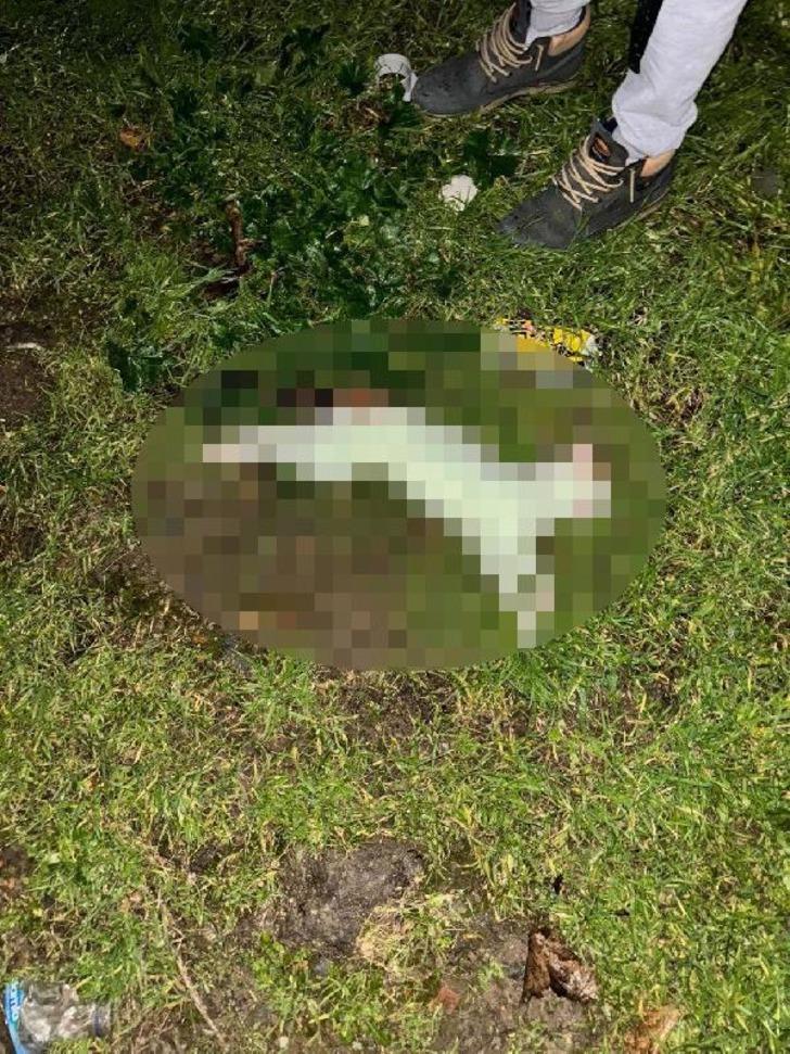 Yakalayıp eve götürdü, öldürüp bahçeye attı! Onlarca kedi cesedi var... İzmir'deki cani kameraya yakalandı, gözaltına alındı G1