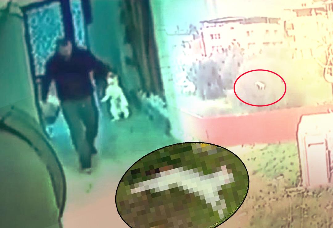 Yakalayıp eve g&ouml;t&uuml;rd&uuml;, &ouml;ld&uuml;r&uuml;p bah&ccedil;eye attı! Onlarca kedi cesedi var... İzmir'deki cani kameraya yakalandı, g&ouml;zaltına alındı