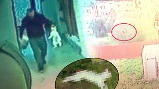 Yakalayıp eve götürdü, öldürüp bahçeye attı! Onlarca kedi cesedi var... İzmir'deki cani kameraya yakalandı, gözaltına alındı
