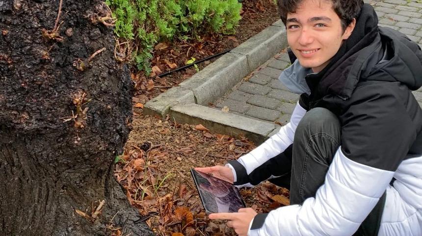  15 yaşındaki "karınca uzmanının" keşfi:  Okulunun bahçesinde bugüne kadar kaydı olmayan örümcek türü buldu