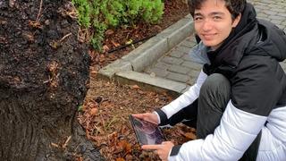  15 yaşındaki karınca uzmanının keşfi:  Okulunun bahçesinde bugüne kadar kaydı olmayan örümcek türü buldu