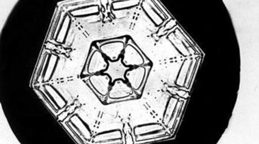 125 yıllık kar taneleri