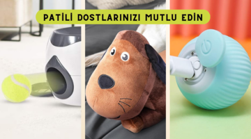 Minik dostunuzun seveceği oyuncaklar