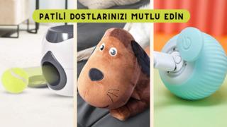 Minik dostlarınızın evde keyifli vakit geçirmesine yardımcı olacak ürünler