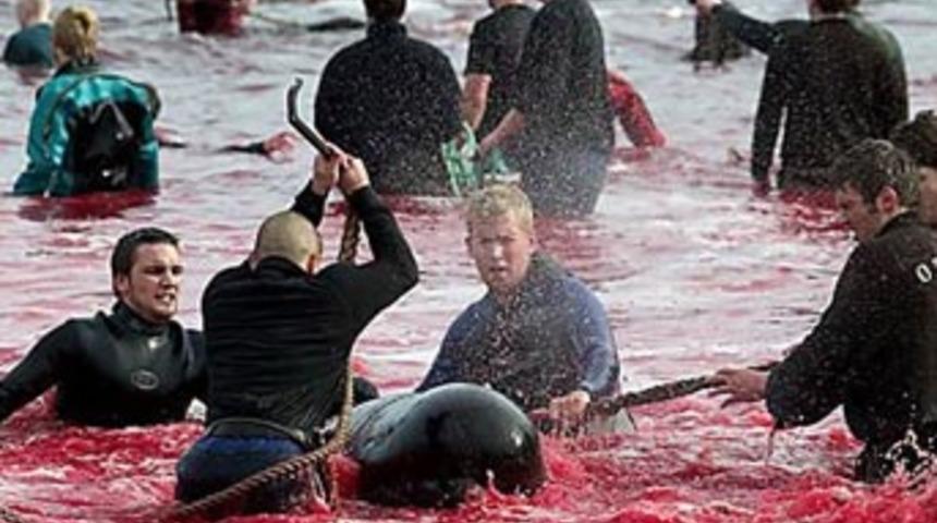 En kanlı erkeklik g&ouml;sterisi