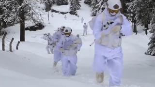 Teröristlerin sığınakları bir bir imha edildi! Silahları, mühimmatları ve patlayıcıları yok edildi