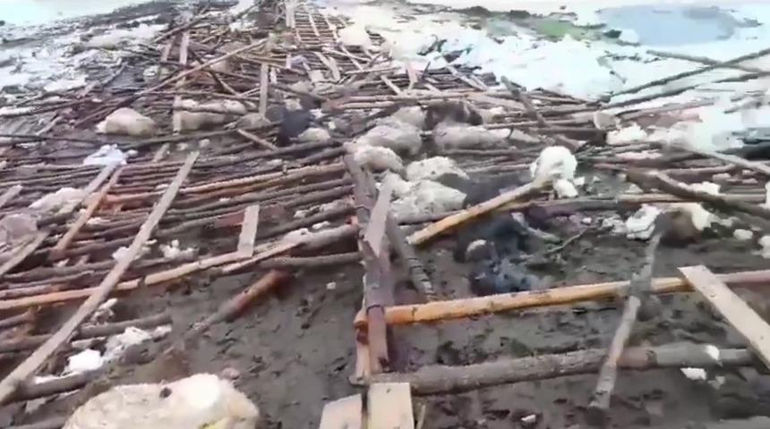 Derecik&rsquo;te ahır &ccedil;&ouml;kt&uuml;, 40 k&uuml;&ccedil;&uuml;kbaş hayvan telef oldu