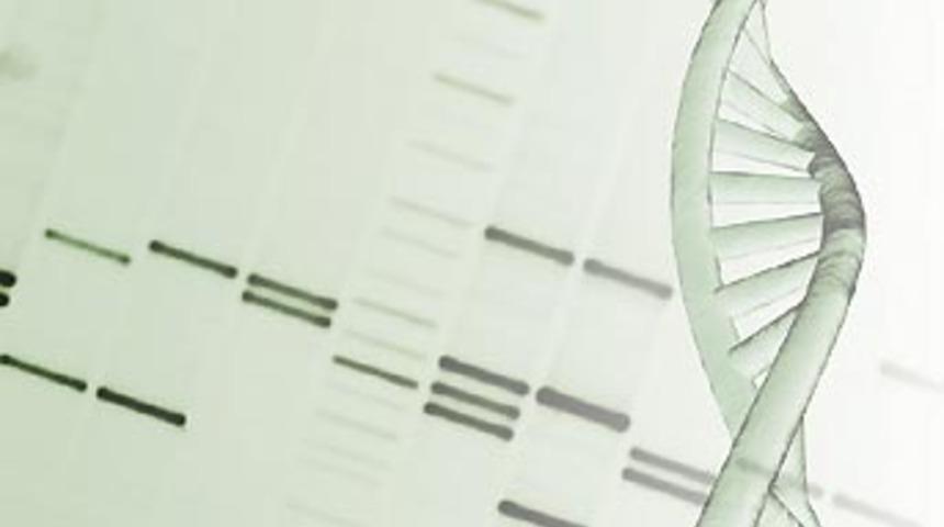 'Şans' geni bulundu