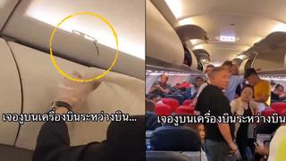 Uçakta yılan paniği! Bir anda belirdi