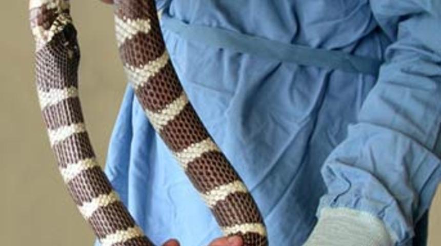 İmdat! Kendi kendimi yedim