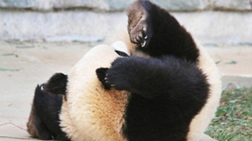 Uykusuna yenik d&uuml;ş&uuml;nce