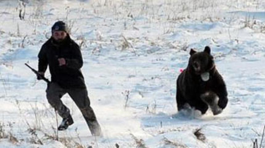 Dişi ayı korucuyu fena kandırdı!..