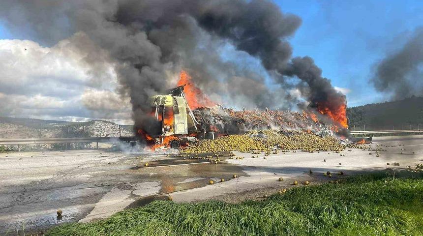 Narenciye yüklü tır yandı