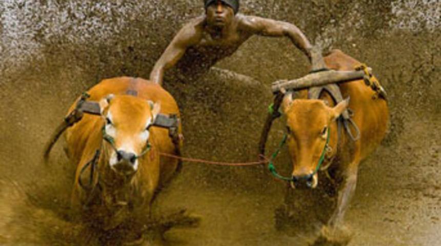 Yılın en iyileri belli oldu