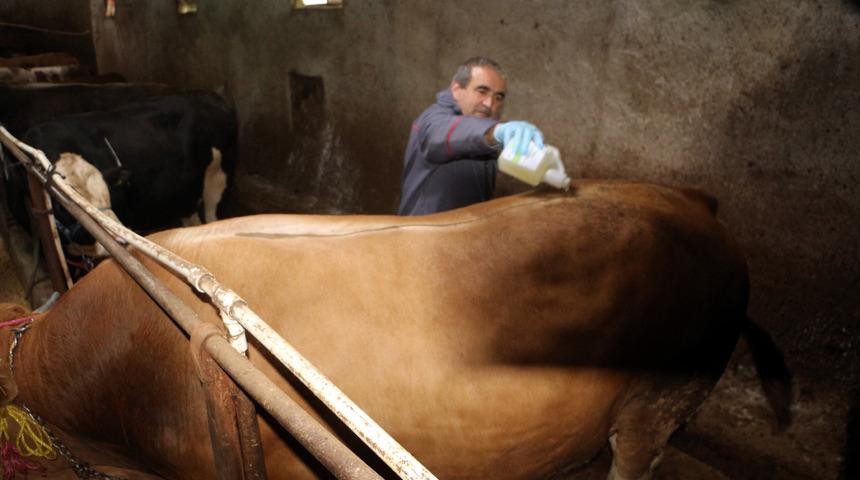 Bir ile daha sıçradı! İkinci bir emre kadar yasaklandı