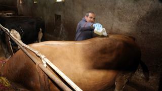 Bir ile daha sıçradı! İkinci bir emre kadar yasaklandı