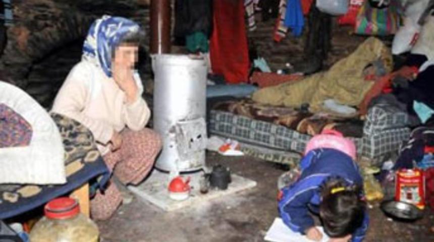 T&uuml;m dersleri 5, yaşamı sıfır