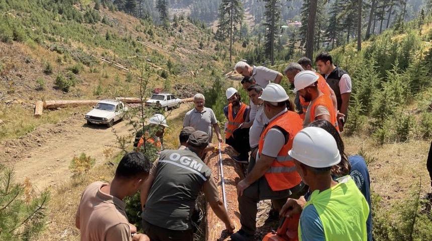 Adana’da ormandan 2.3 milyar TL gelir elde edildi