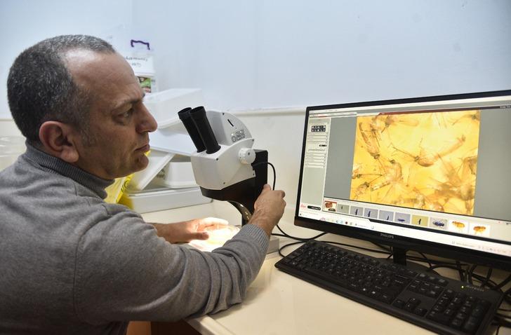 Onlar da kış uykusuna yatmadı! Uzmanlar uyardı 'Önümüzdeki yıllarda hastalık taşıyacaklar' Çoğaldıkça çoğalıyorlar G4